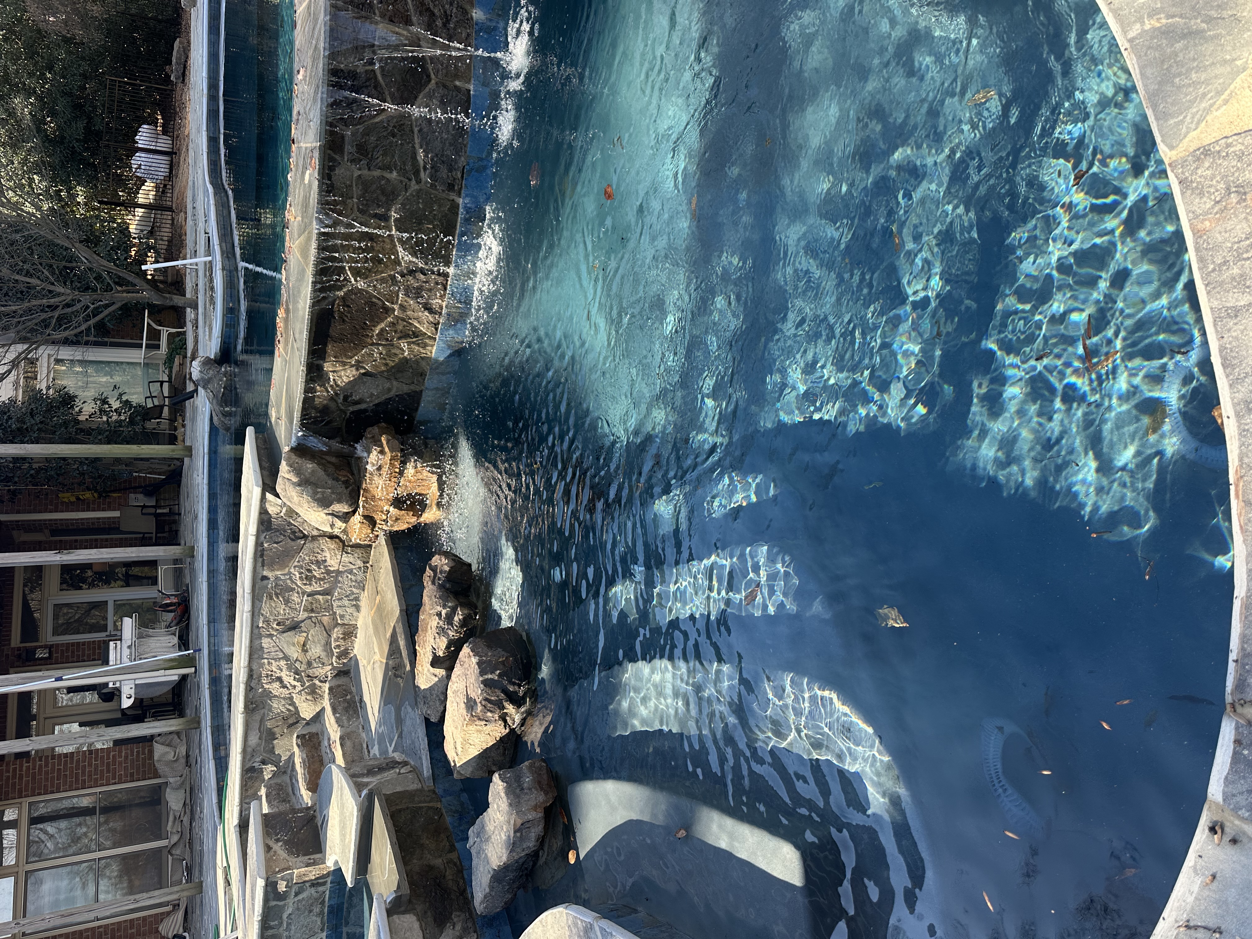 Custom pool construction